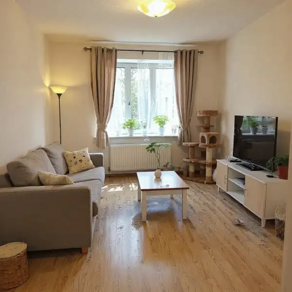 Наведение порядка в двушке после кошек - до уборки